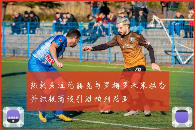 热刺关注范赫克与罗梅罗未来动态并积极商谈引进帕利尼亚